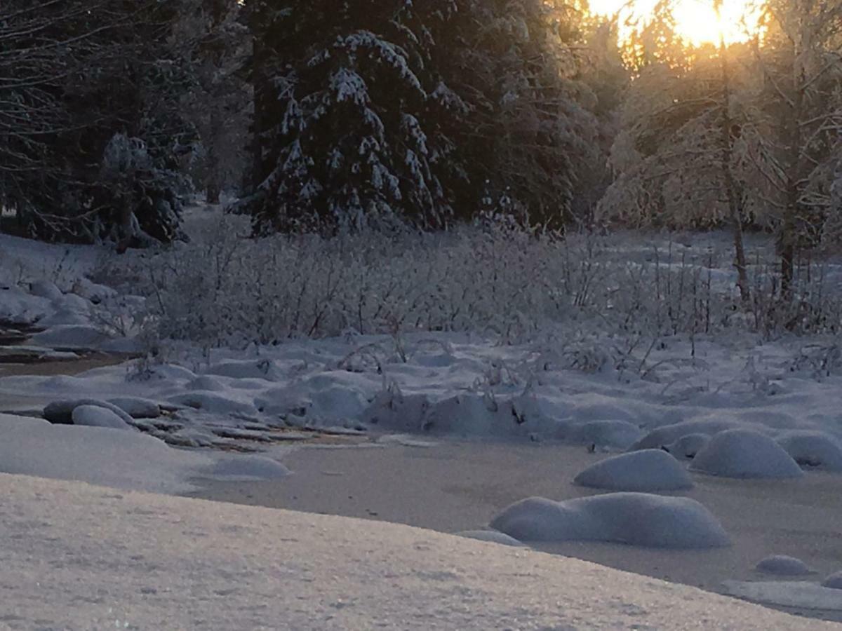 Seinaejoen Leirintaealue Seinäjoki Exterior foto